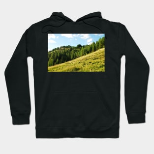 Scenery on Sella di Rioda Hoodie